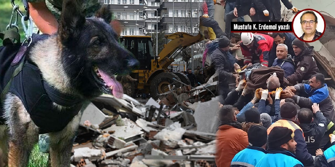 Neandertalleri onlarla yendik... Köpek: En iyi dostumuz