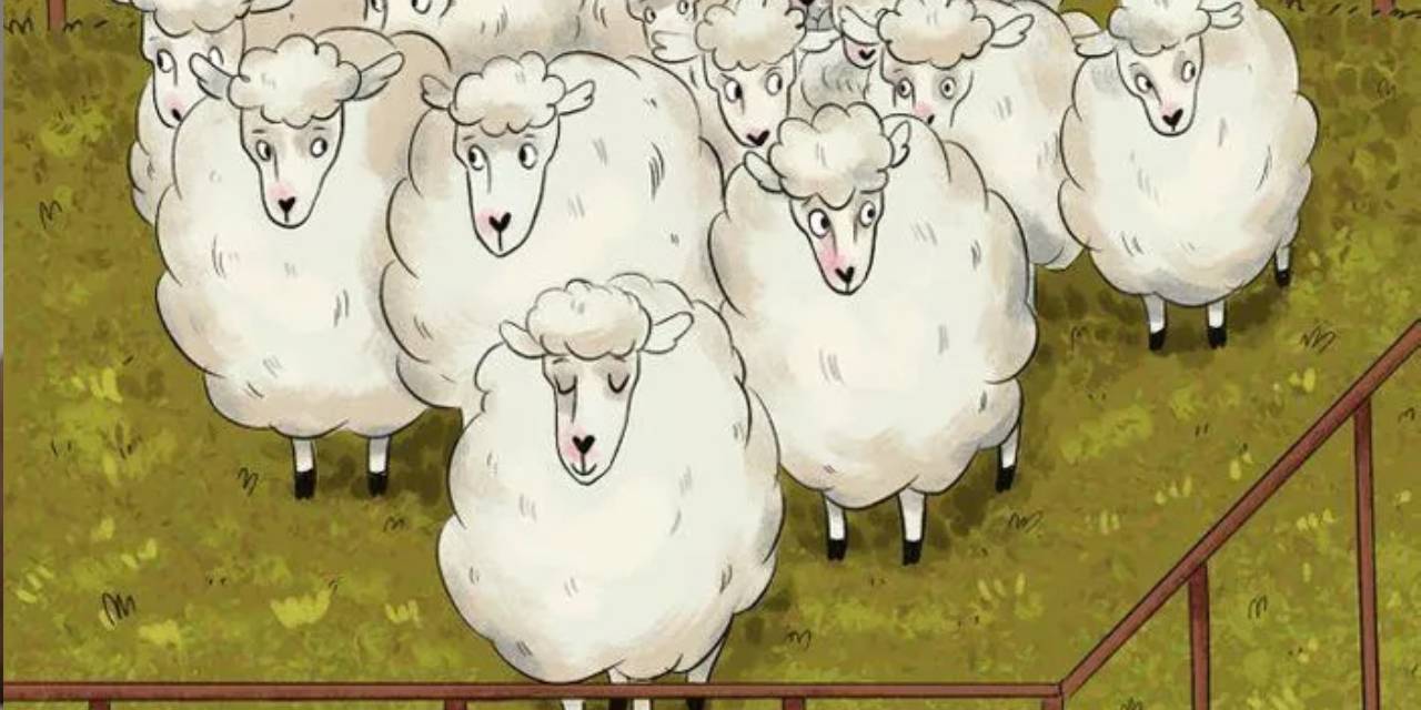 Koyunların arasındaki kurdu bulan sivri zekasını ispatlıyor... IQ seviyenizi hemen öğrenin! İşte en yeni illüzyon testi...