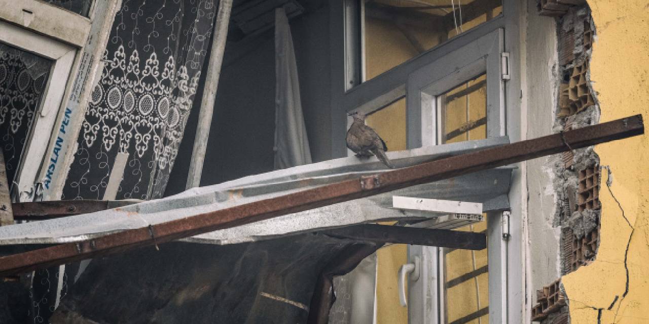 Kuşlar enkazlarda yaşam mücadelesi veriyor