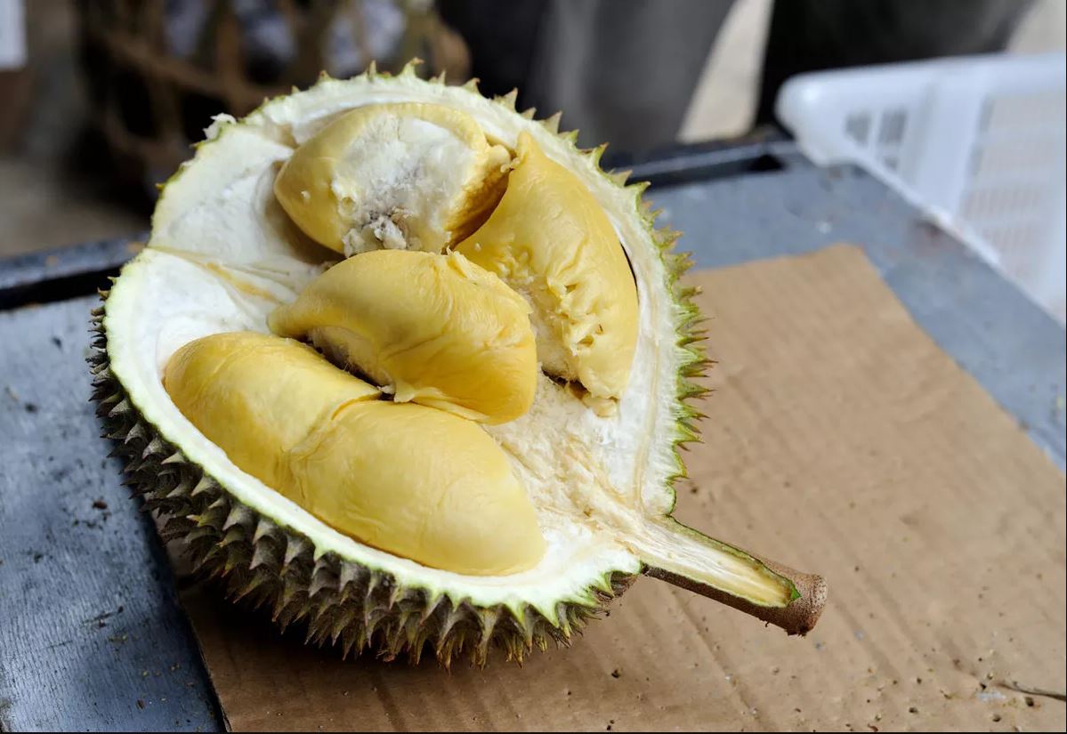 Durian meyvesi nedir? Durian meyvesi nasıl kokar? Durian meyvesi kokusu neye benzer? Durian faydaları...