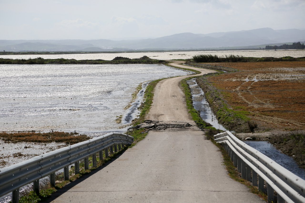 Kurutulan Amik Gölü havzasında, depremler sonrası su yükselmesi