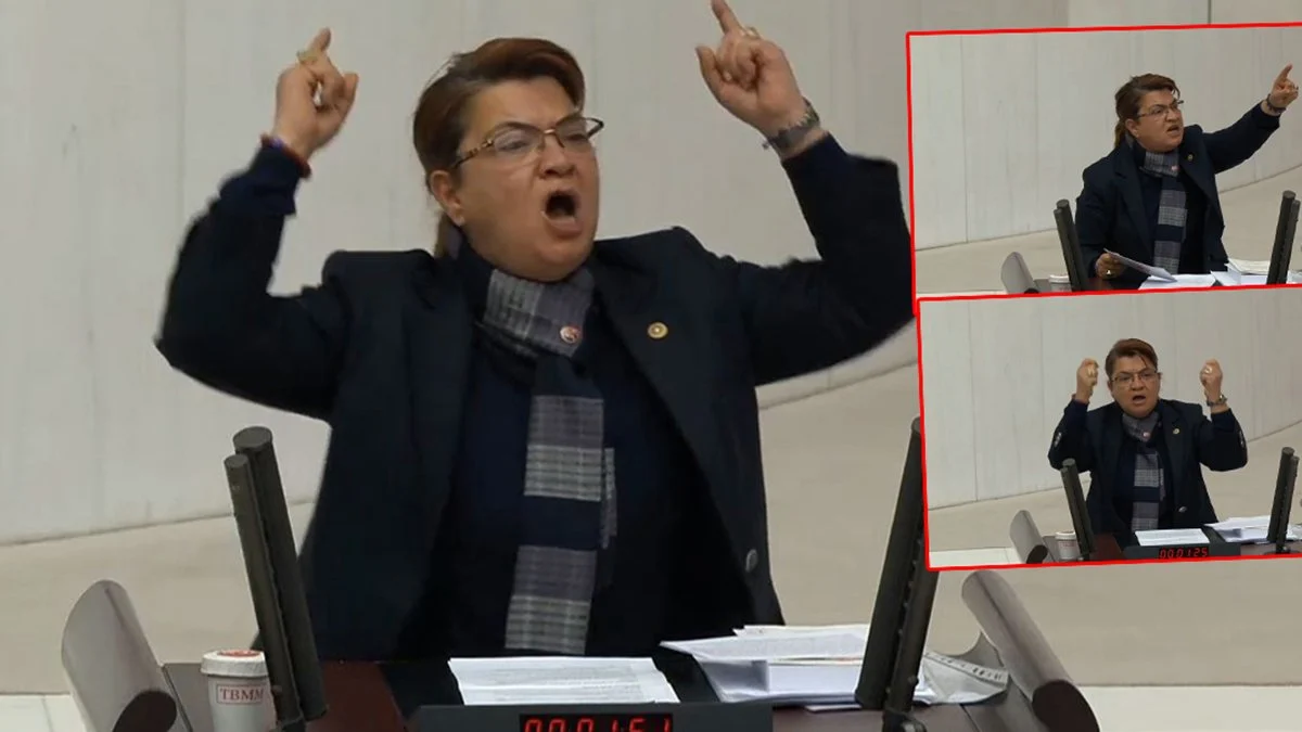 Erdoğan seçim kararını açıklarken hedef almıştı: CHP'li Suzan Şahin'den yanıt