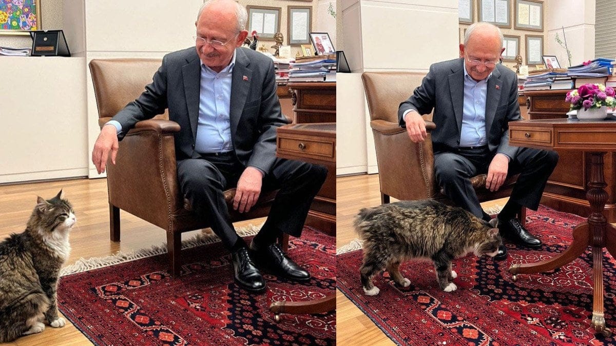 Kılıçdaroğlu'ndan 'Şero'ya söz: Yaş mamayı lüks olmaktan çıkaracağım