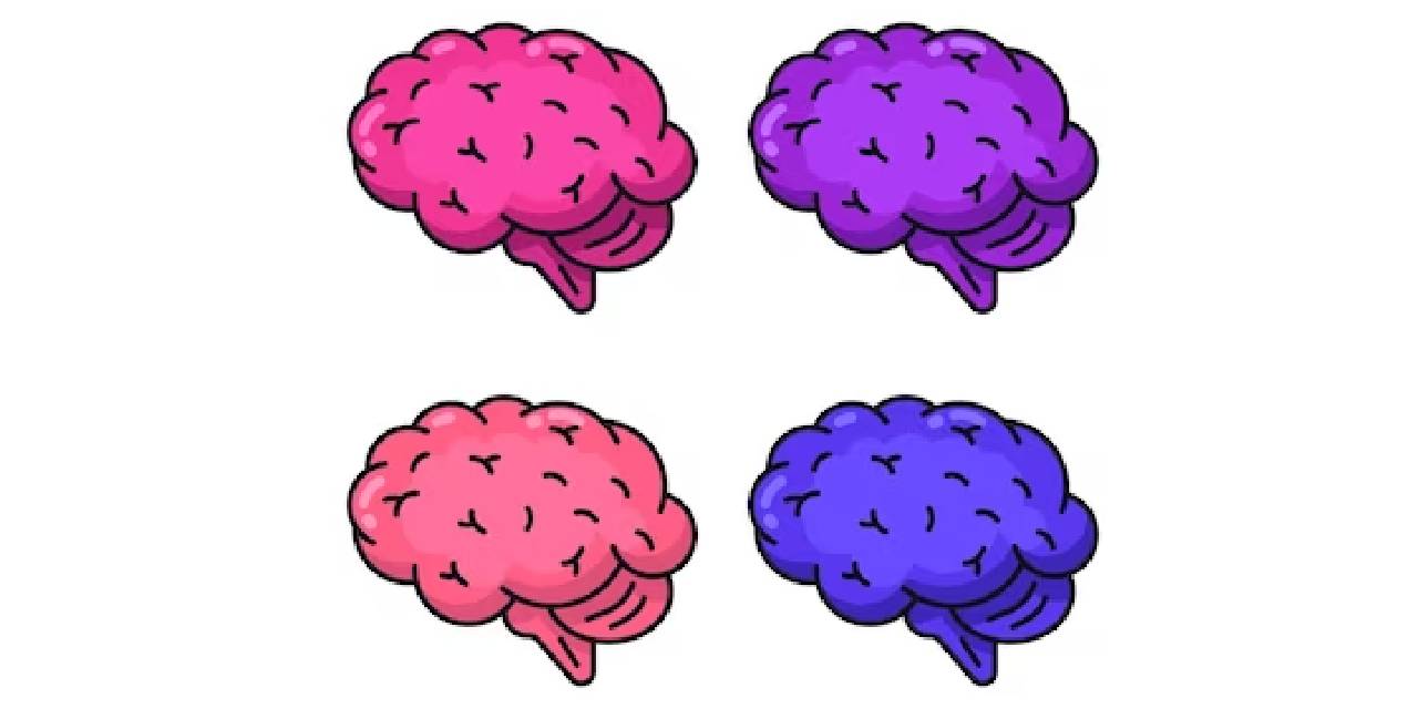 S¡yasi aidiyet beyin yapısında farklıllıklar oluşturuyor. Muhafazakar beyinle liberal beyin ne gibi farklılıklar gösteriyor?