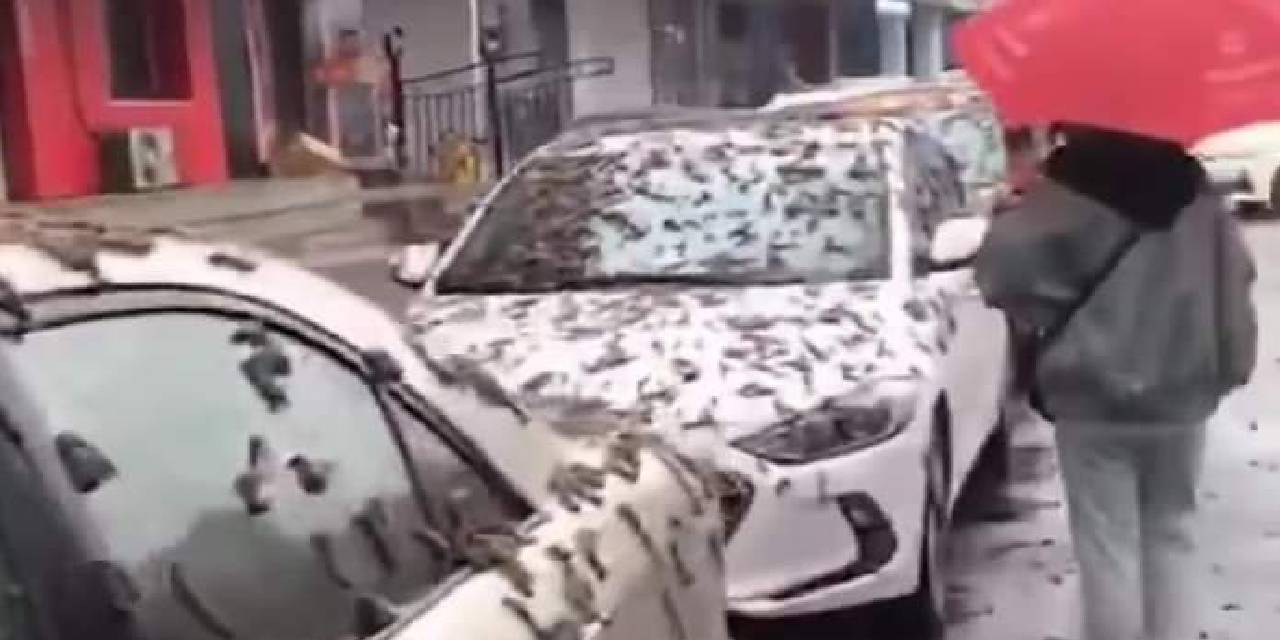 Gökten solucan mı yağdı?