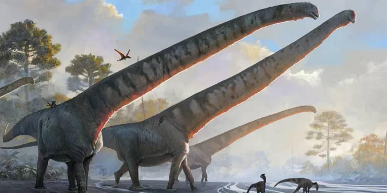 Yeni keşif: Boyun uzunluğu 15 metre olan dinozor fosili bulundu