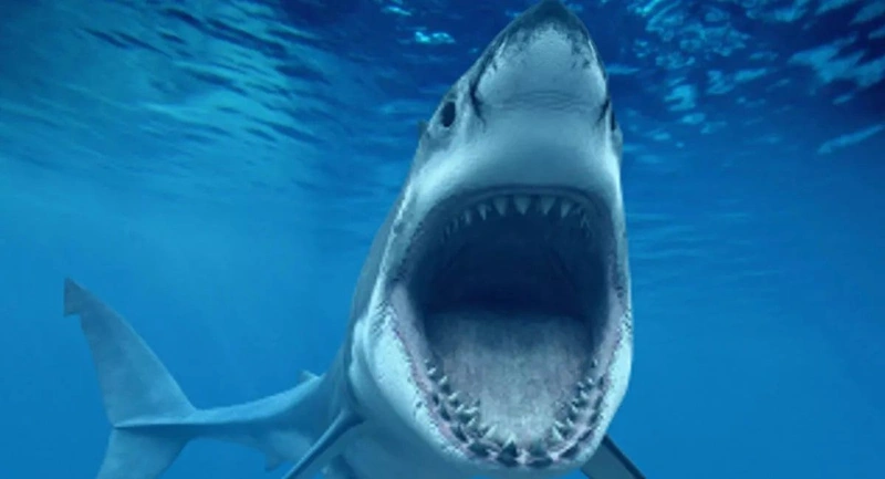 Cankurtaranlar sudaki herkesin acele çıkması için alarm verdi... Balıkçılar kaçmak için çırpınırken korkunç yaratığı yanlarında