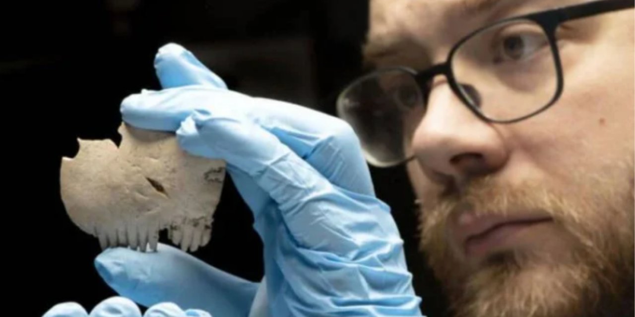 İnsan kafatasından yapılmış tarak şaşırttı