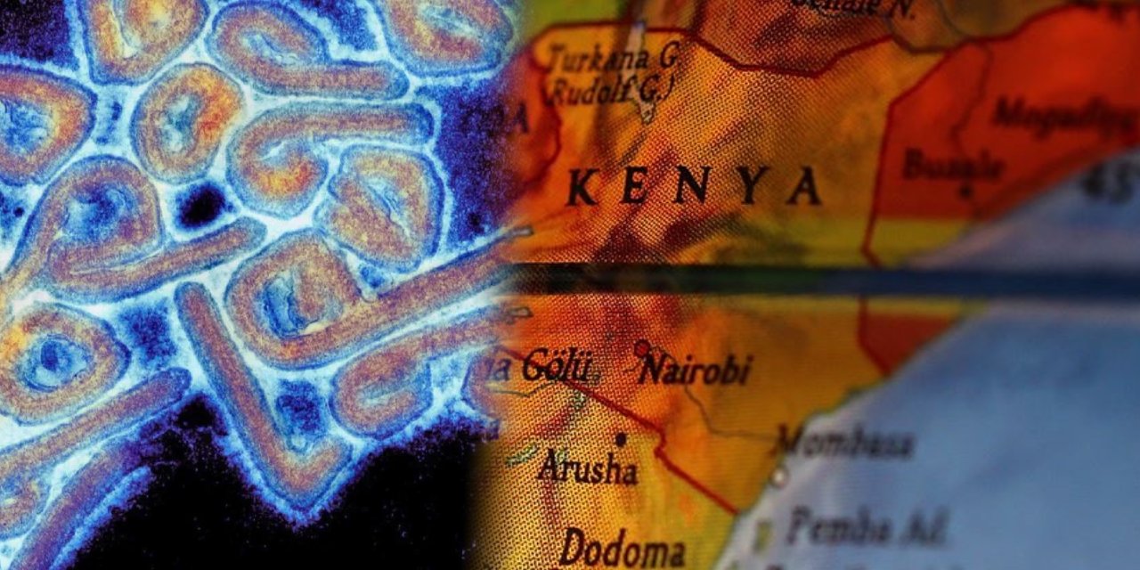 Marburg virüsü korku salıyor... Kenya ve Ruanda'da sınır kapısı önlemi