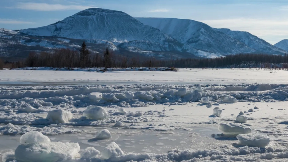 50.000 yıl uykuda bekleyen zombi virüs. Hala bulaşıcı olduğu saptandı.Donmuş bir Sibirya kurdunun bağırsaklarında bulundu