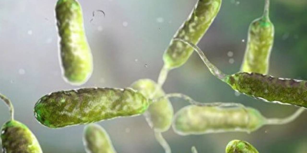 Bilim insanları uyardı: Dikkat et yiyen bakteri alarmı