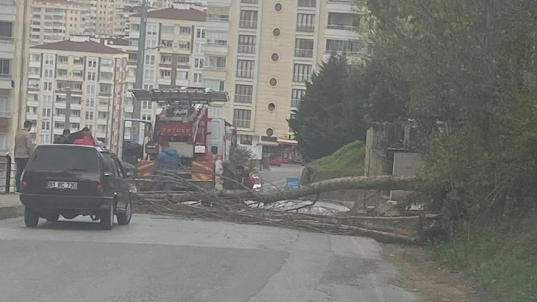 Doğu Karadeniz'de fırtına etkisi; çatı uçtu, ağaç devrildi