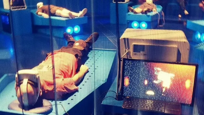 Ölümden sonra ne oluyor? Anlatılanlar biraraya getirildi çizimi yapıldı. İşte ölümün ilk anları ile ilgili simülasyon