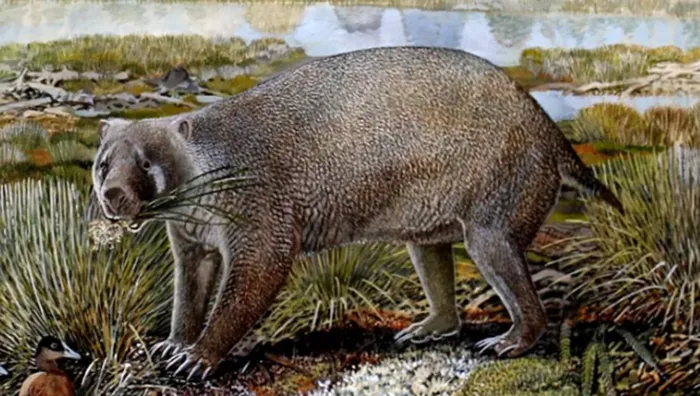 Bildiklerimizi yeniden gözden geçirtecek buluş. 25 milyon yıl önce yaşamış bugüne dek bilinmeyen yeni bir tür keşfedildi