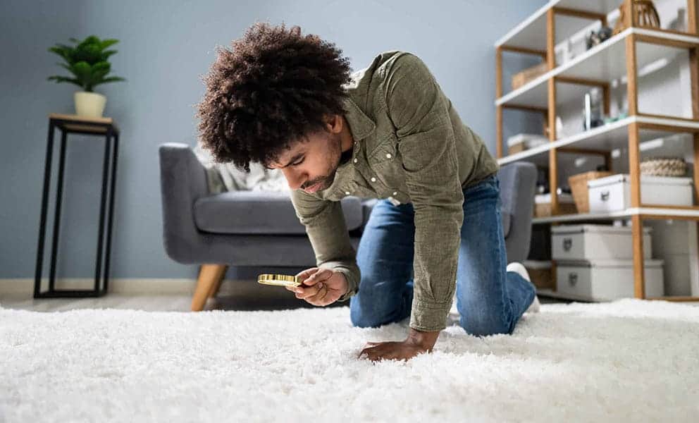 İğrenç ama gerçek! Yatak odanızın halısı tuvaletten bile kirli