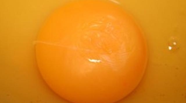 Yumurtanın sarısından uzak durun...Sigara İçmeyen ve Yumurta Sarısı Yemeyen 40 yıl Fazla Yaşıyor