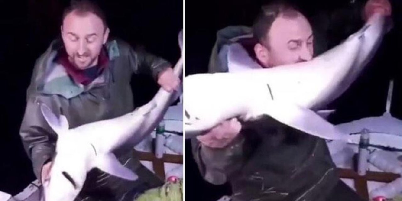 Karadenizli balıkçı köpekbalığını ısırdı