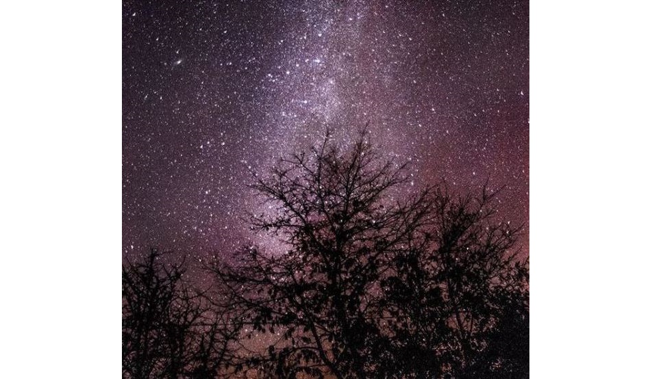 İnsanlar Bilimsel Gerçeklerle Yüzleştirildiklerinde Neden Savunmaya Geçerler?