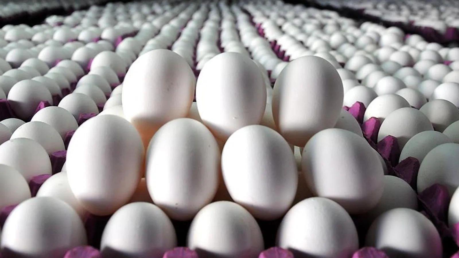 Uzmanlardan 'yumurta' için hayati uyarı: Tüketmeden önce bunu yapıyor musunuz?