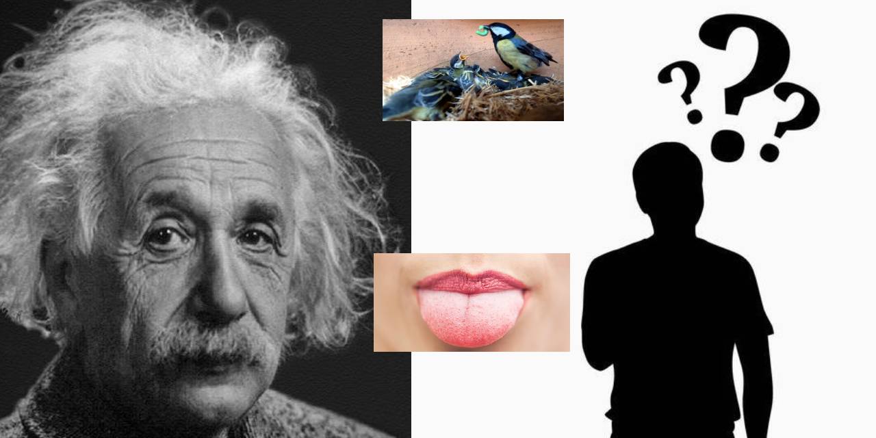 Bugüne kadar doğru bildiğimiz birçok aslında doğru olmadığını öğrenince çok şaşıracaksınız? İşte doğru bildiğimiz 8 yanlış...