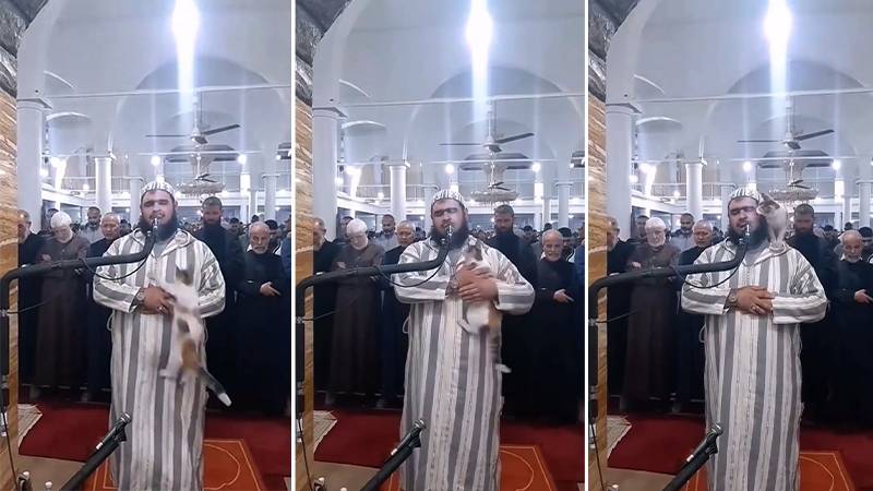 Namaz kıldıran imamın üzerine kedi atladı