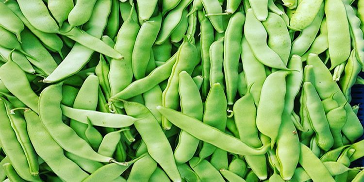 Bir zamanlar 'Bu fasulye yedi buçuk lira' sözleriyle şarkılara konu olmuştu. İşte o fasulyenin güncel fiyatı