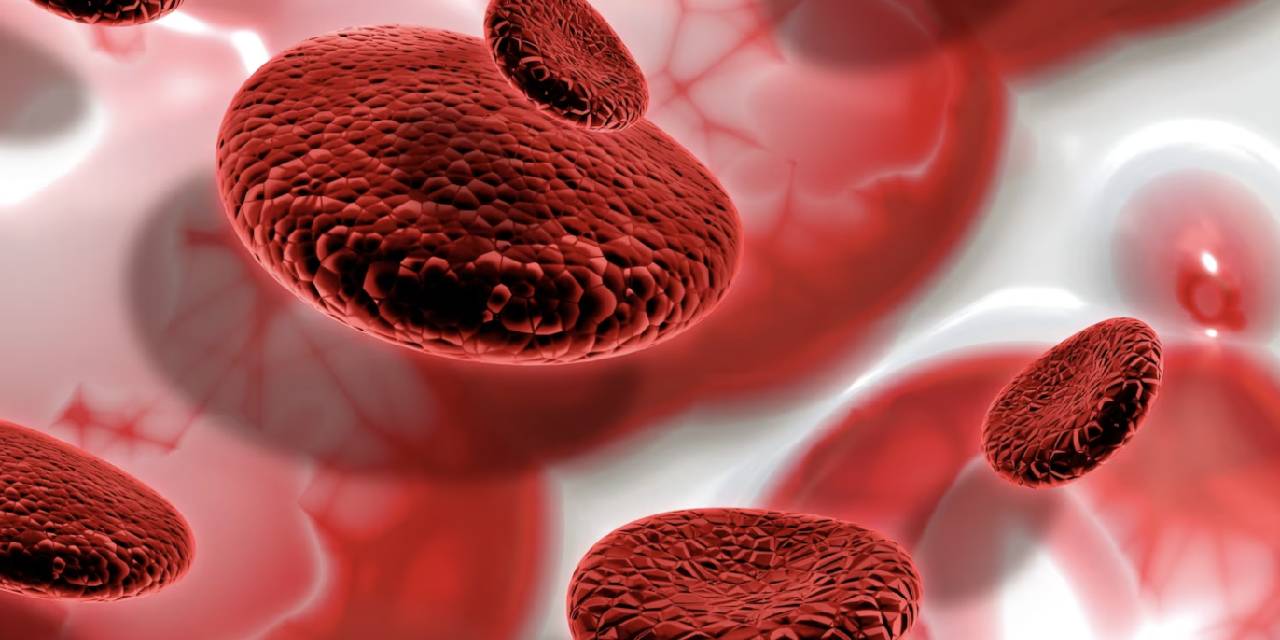 Fazla kilo, yorgunluk ve halsizliğin nedeni kansızlık olabilir! Kansızlık neden olur? Anemiye birebir olan 10 besin...