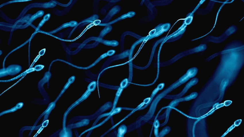 Tek dozda yüzde 100 etki! Spermi anında etkisiz hale getirecek, bilim camiasında heyecan büyük
