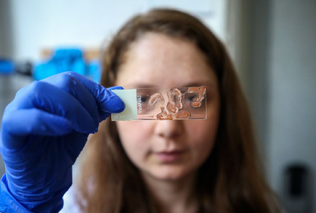 Türkiye denizlerinde bulundu! Her hafta, vücudunun tamamını yeniliyor... Gençliğin sırrı onda