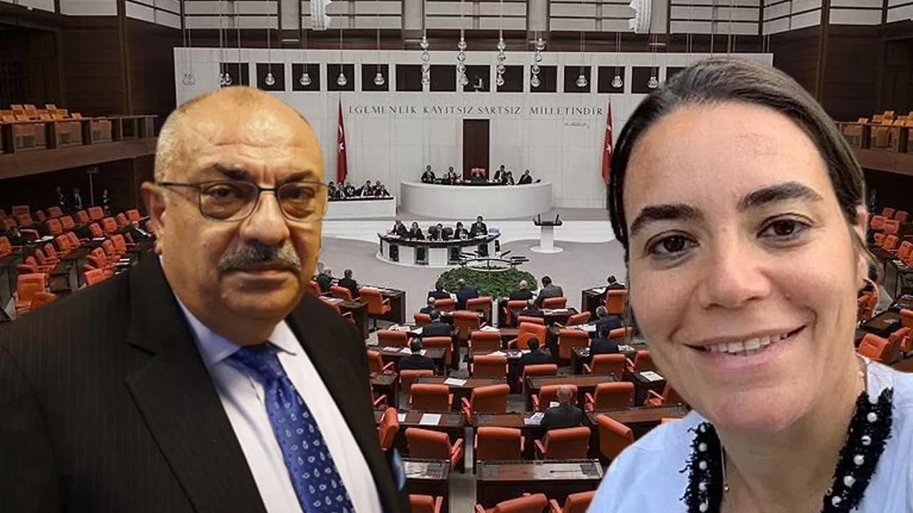 Alparslan Türkeş'in çocukları birbirine rakip oldu. Oğlu AKP'den kızı İYİ Parti'den milletvekili adayı oldu