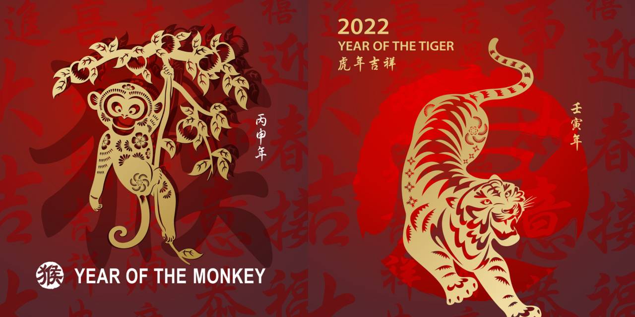 Çin burcunuz nedir ve özelliklerini biliyor musunuz? Kişilik analizinde asla şaşmıyor... At, yılan, ejderha, maymun; kimsiniz?