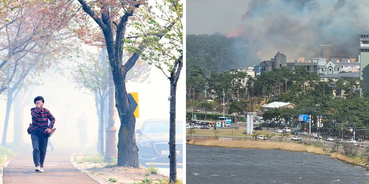 Güney Kore'de orman yangını: Yüzlerce kişiye tahliye
