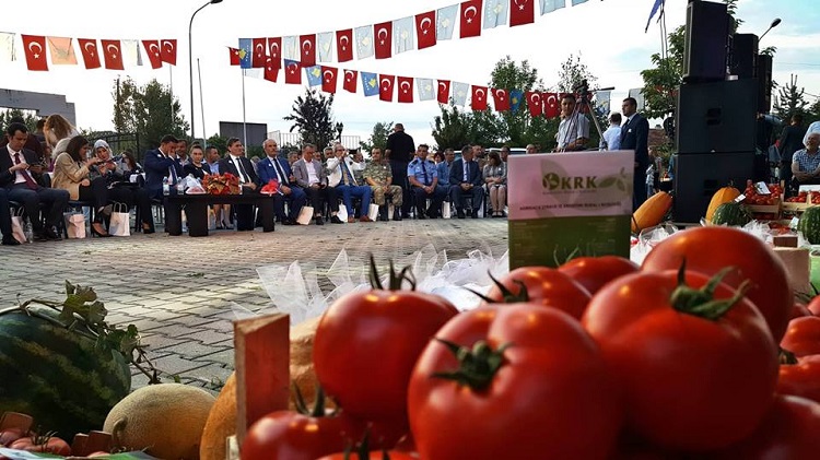 Kosova'da 10'uncu Domates Festivali düzenlendi