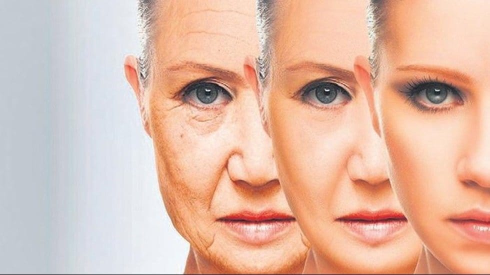 Harvard profesörü uzun yaşamın sırrını açıkladı: 250 yaşına kadar yaşamak mümkün