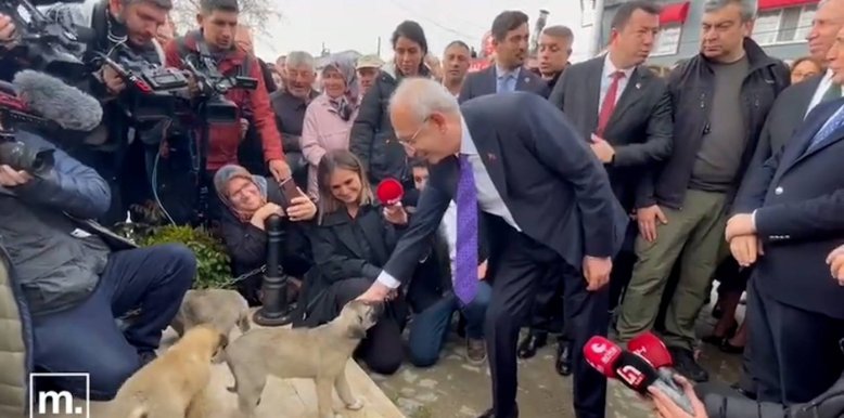 Kılıçdaroğlu'nun Çanakkale'de sokak köpeğini sevdiği anlar...