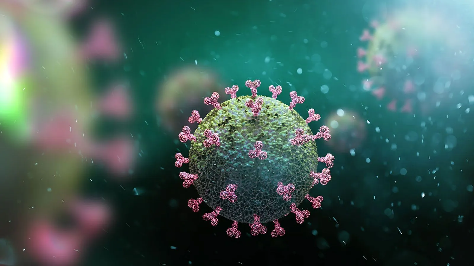 DSÖ'den Flaş Koronavirüs Açıklaması: "Sona Erdi"