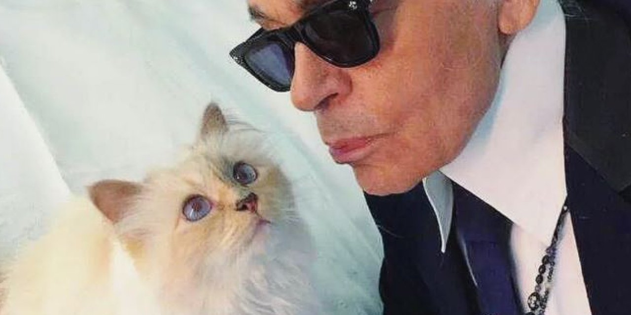 Dünyanın en zengin kedisi Choupette... Ünlü modacı kedisiyle evlenmek istiyordu.... 5 milyar TL'lik mirasını kedisine bıraktı...