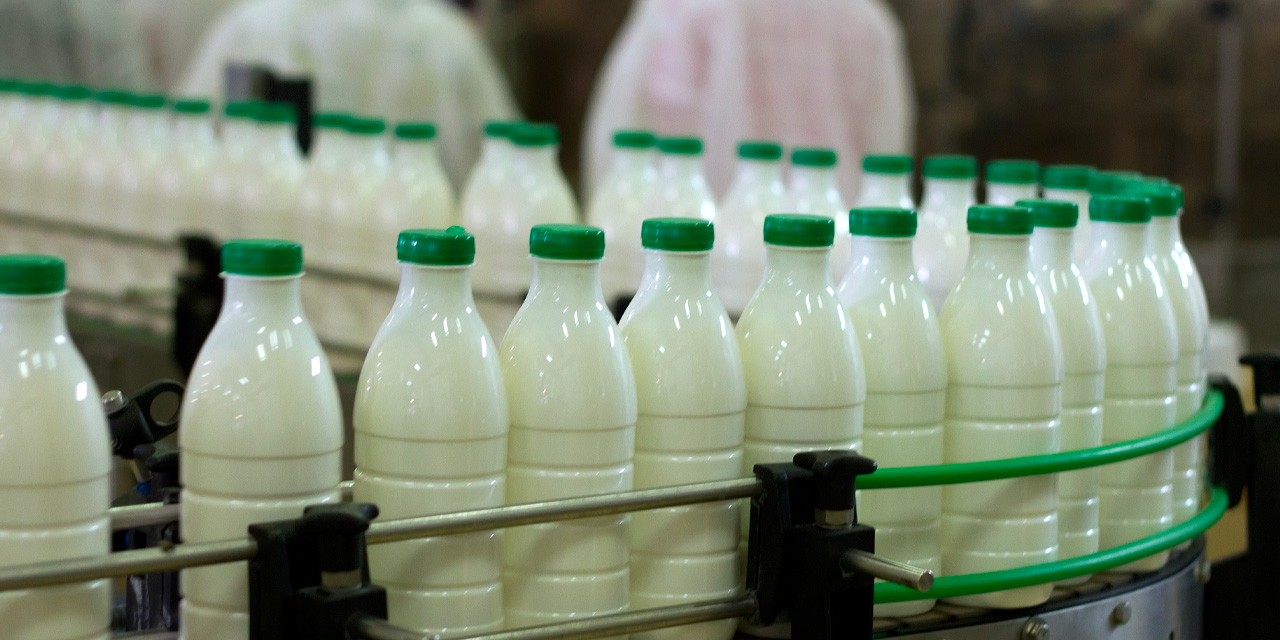 İçme sütü üretimi, şubatta yüzde 8,5 azaldı