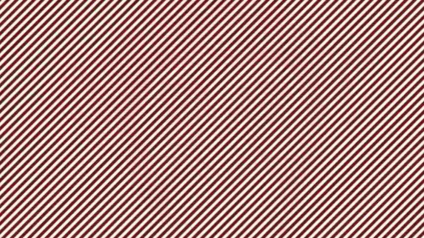 Optik illüzyon görüntüsüyle  IQ’nuzu ve vizyonunuzu ölçün…  Aşağıdaki hayvanı 11 saniyede görebilir misiniz?