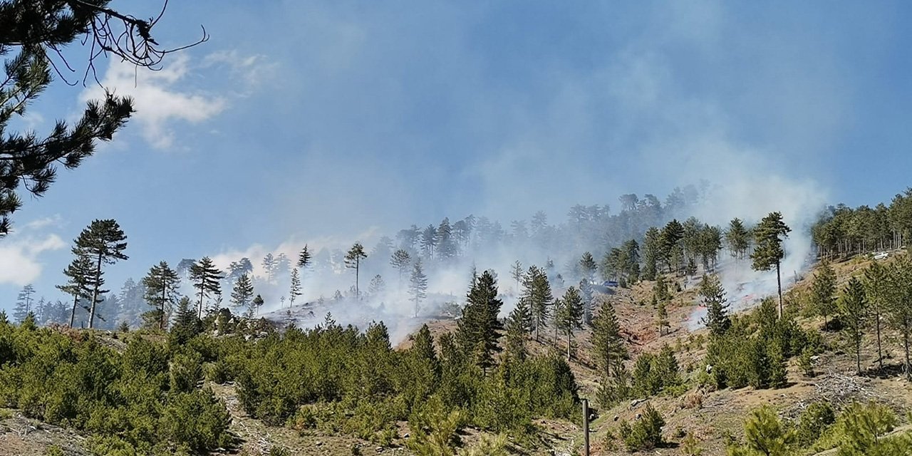Konya'da ormanlık alanda yangın başladı