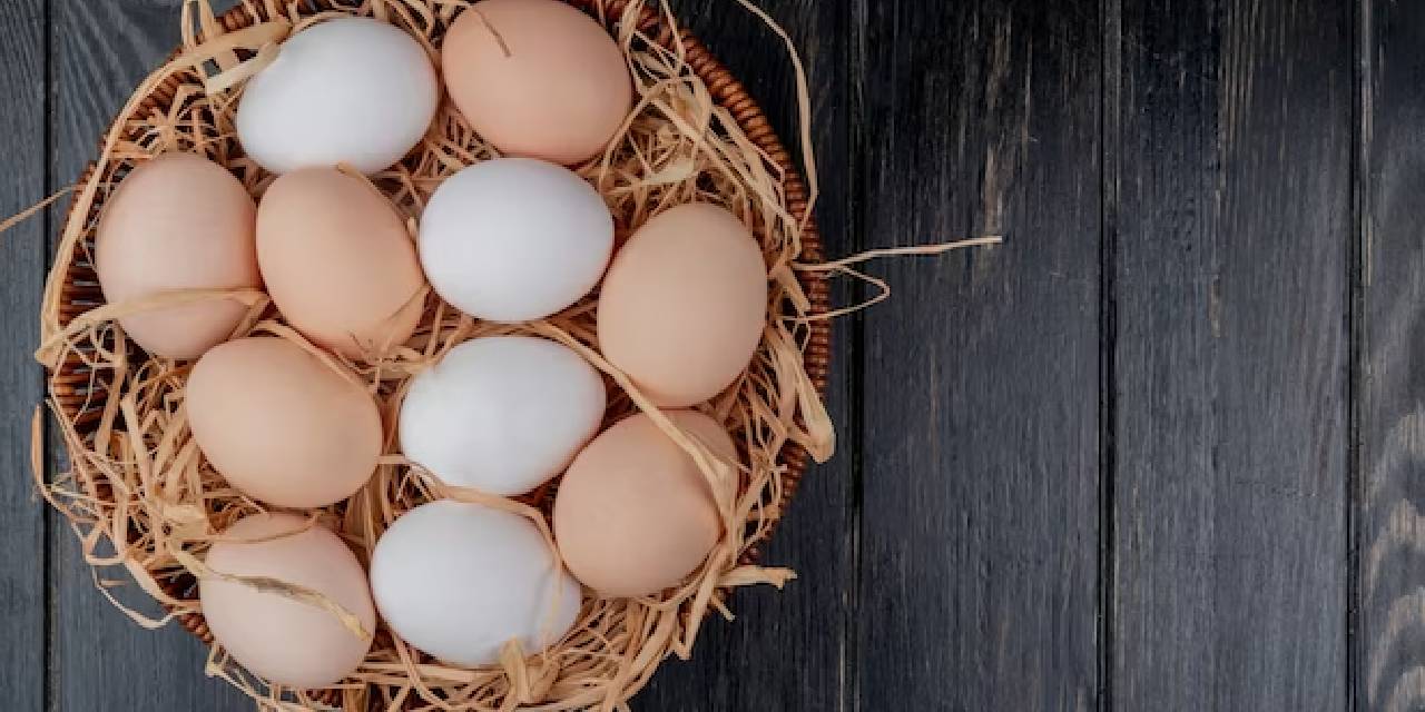 Kahverengi Yumurta Mı Yoksa Beyaz Yumurta Mı?