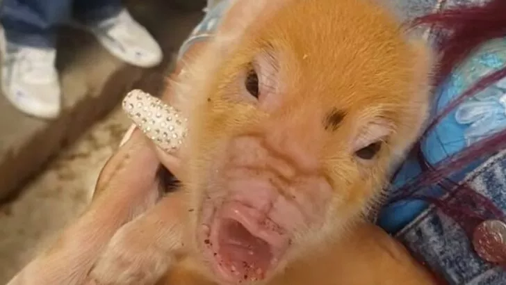 Bir gören bir daha baktı! Kimse ne olduğunu anlamadı