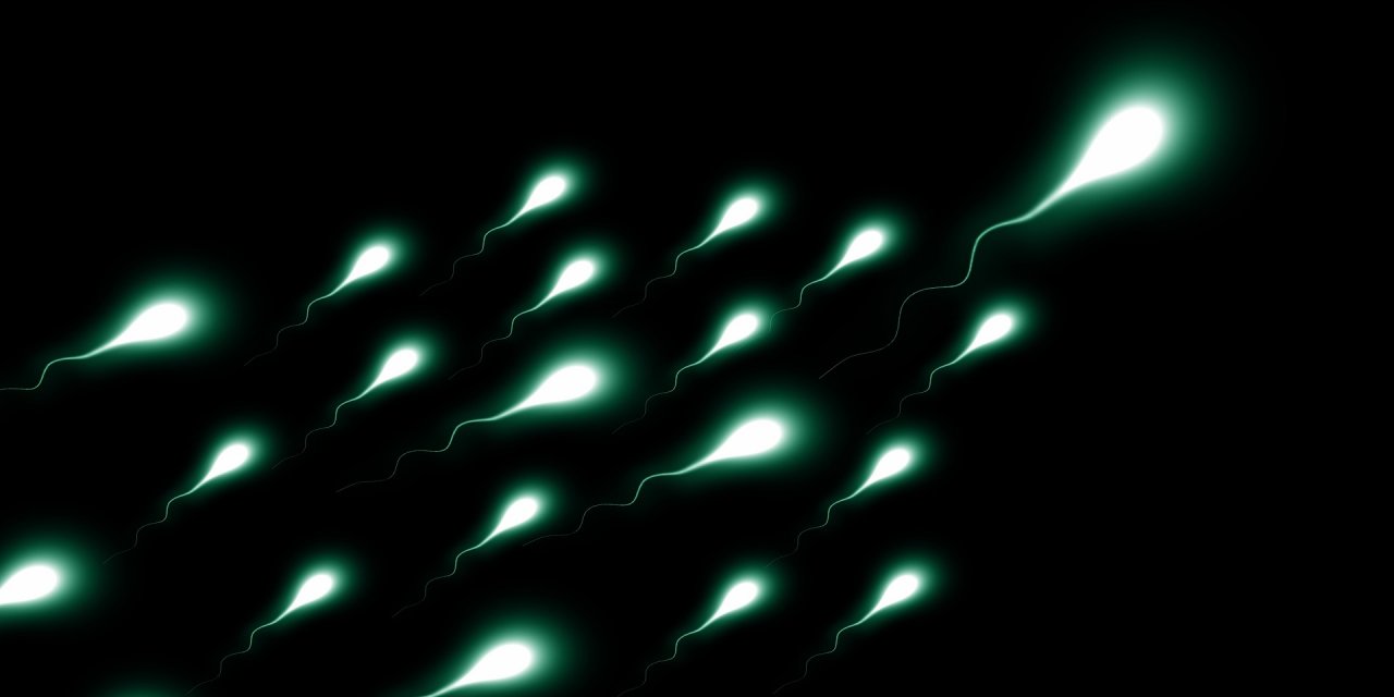 Erkeklerin sperm sayısı neden azalıyor?