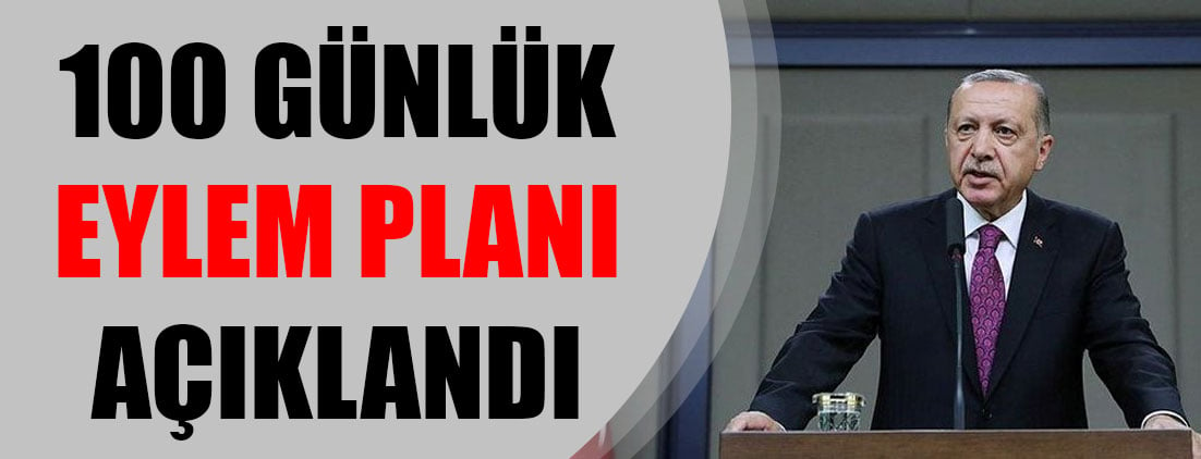 Erdoğan, 100 günlük eylem planını açıkladı