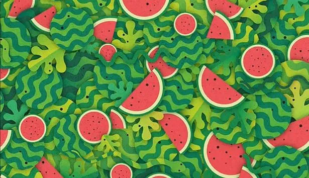 Karpuz dilimlerinin arasındaki yılanı sadece keskin zekaya sahip olanlar görebiliyor: Hayır, o değil!