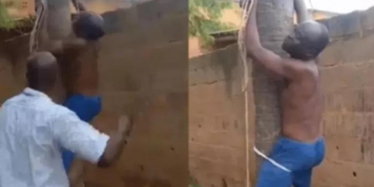 Kız kardeşini darp eden damada böyle ceza verdi! Görenler şok oldu