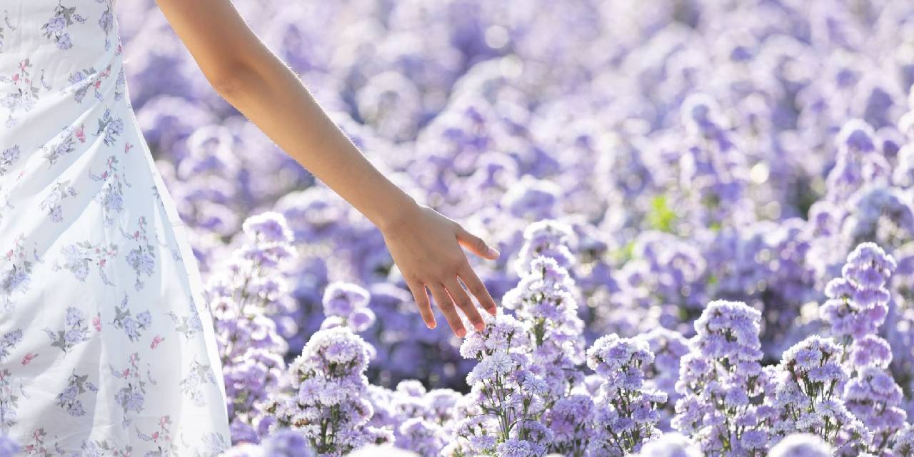Evdeki kötü kokuları söküp atıyor... Baharın canlı ve taze kokusunu evlerinize taşıyacak o temizlik sırrı...
