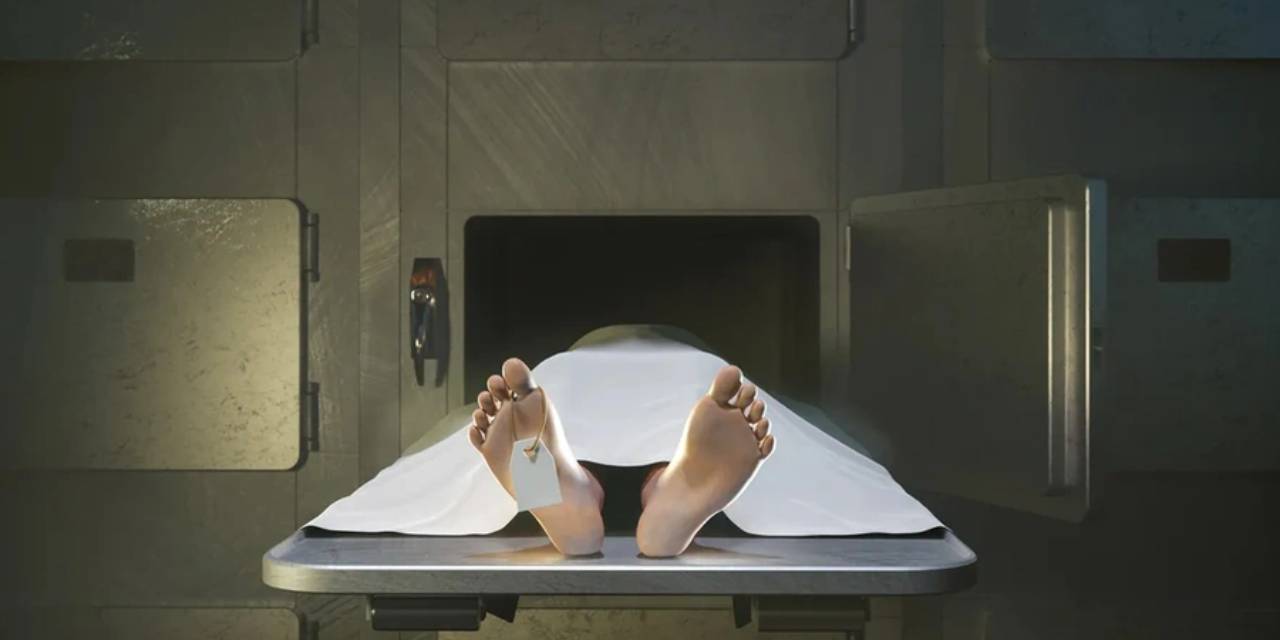 Ölüm Anında Beyinde Gizemli Bir Aktivite Oluştuğu Saptandı... Meğer Beyaz Işık Hikayesi Gerçekmiş