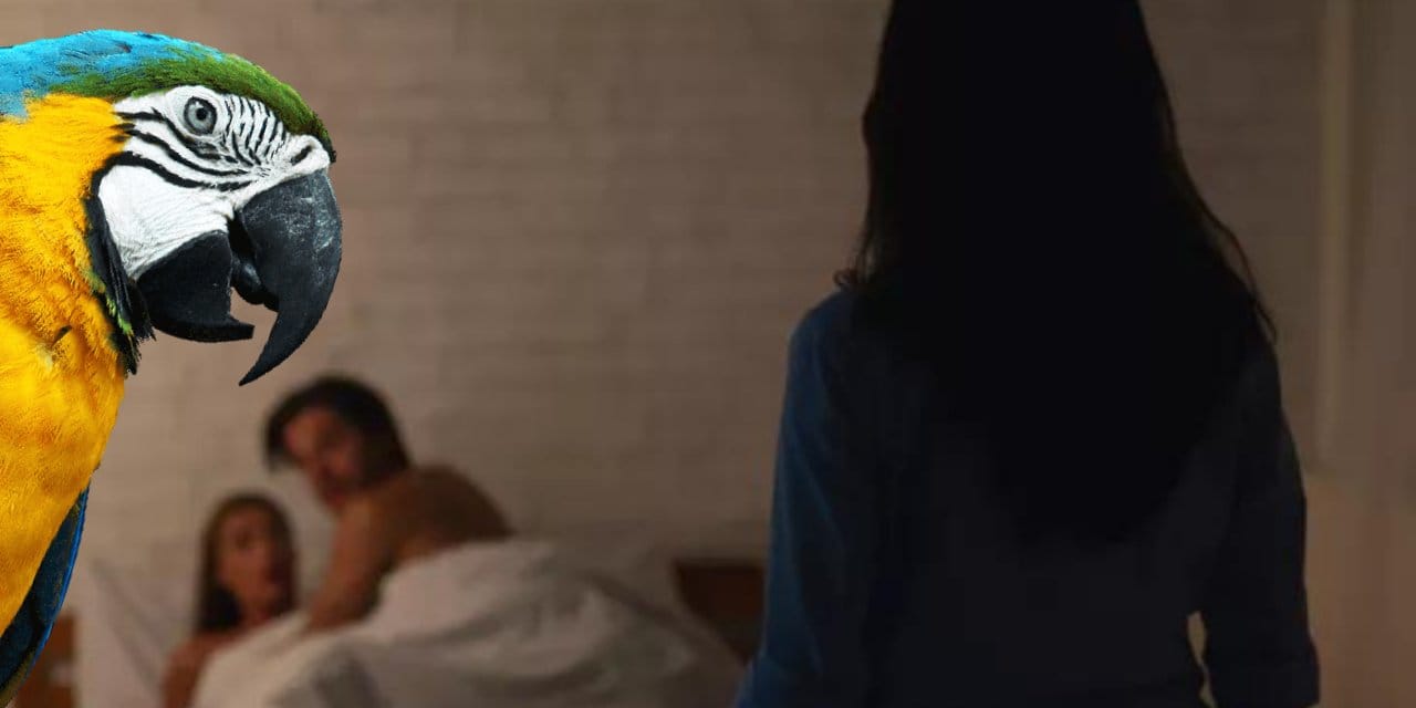 Sahibi Papağana yem vermeyince ihanet etti! Hizmetçiyle olan yasak ilişkisini ortaya çıkardı!