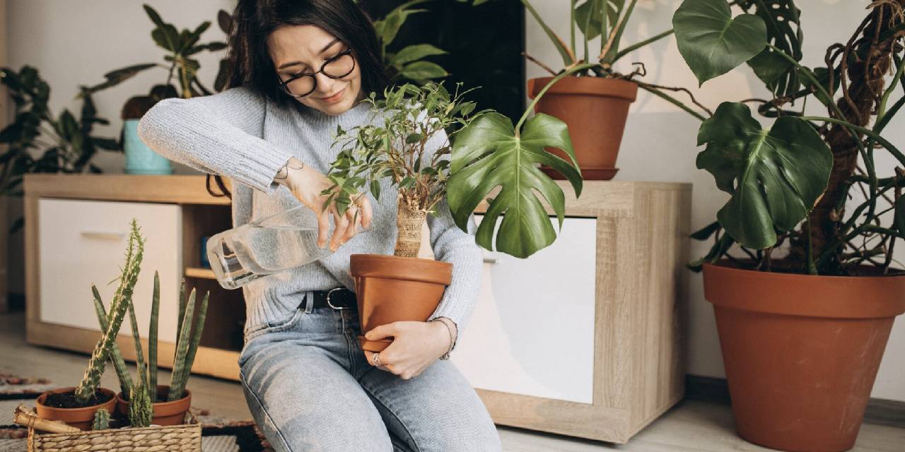 Evinizin havasını çiçekler ile temizleyin. Bu bitkiler mutlaka bütün evlerde olmalı...